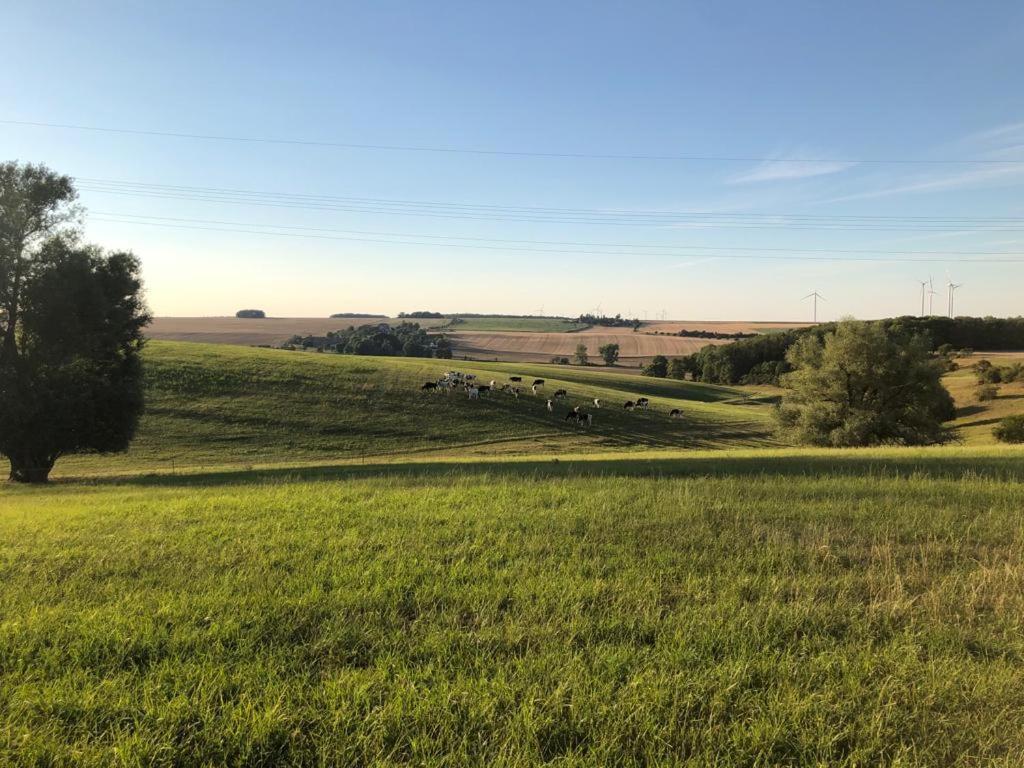 An Der Stadtmauer Buergel Burgel  Zewnętrze zdjęcie